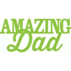'amazing dad' phrase