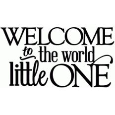 welcome to the world, little one - vinyl phrase