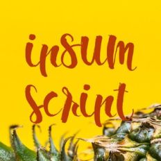 Ipsum Script Font