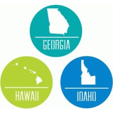 state badges - ga hi id