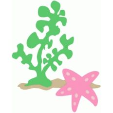 starfish and seaweed
