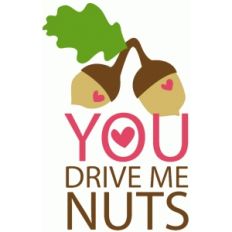you drive me nuts