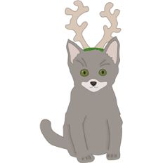 kitten reindeer