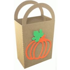 pumpkin gift bag