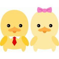 cute couple duck