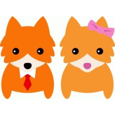 cute couple fox
