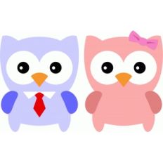 cute couple owl