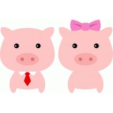 cute couple pig