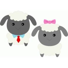 cute couple sheep