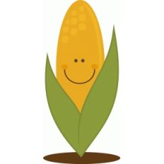 cute corn cob