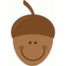 cute acorn