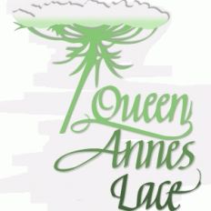queen anne’s lace