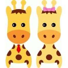 cute couple giraffe