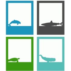 ocean animals polaroid frame set of 4