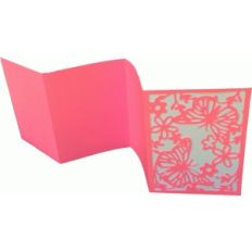 butterfly lace accordian album
