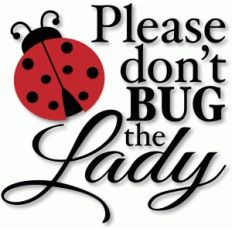 please don't bug the lady
