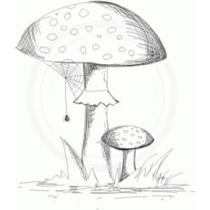 mushrooms (sketch)