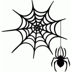 spooky spider &amp; web