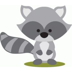 woodland raccoon