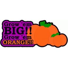 grow em big grow em orange saying