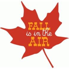 fall is in the air