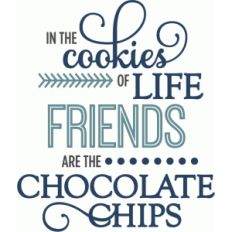 cookies of life friends chocolate chips - phrase