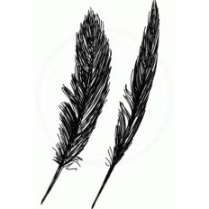 feathers (sketch)