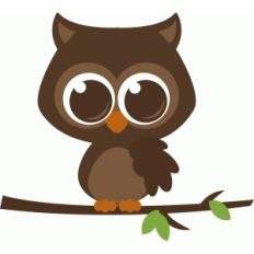 woodland owl