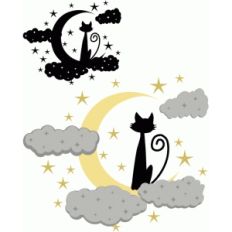 cat in the moon