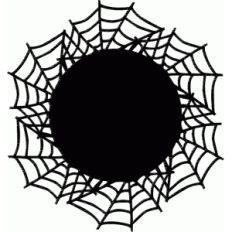 spider web doily
