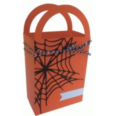 spiderweb bag