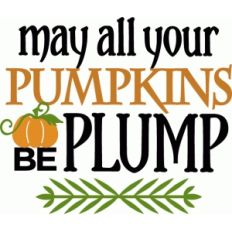 may your pumpkins be plump - phrase