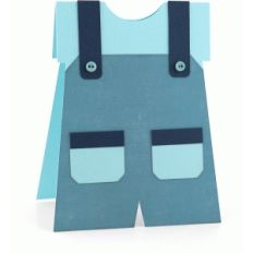 a2 baby boy overall card
