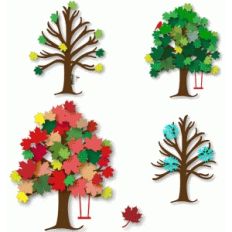 maple tree - four seasons