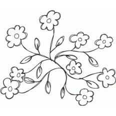 floral sketch