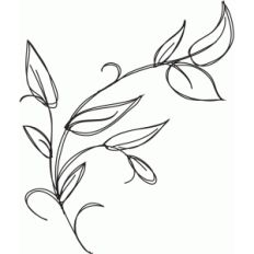 leaf sketch
