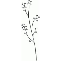 branch sketch