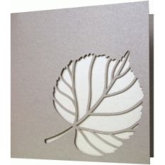 5x5 leaf card