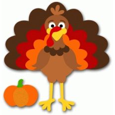turkey with pumpkin