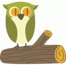 owl on log