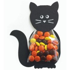 cat treat bag
