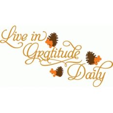 live in gratitude daily
