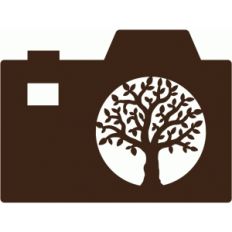 family tree camera