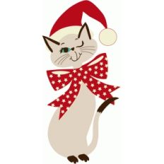 kitty in santa hat