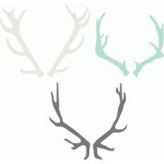 deer antler set