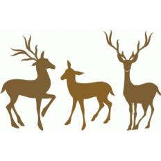 reindeer family