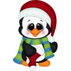 penguin holding stocking pnc