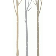 3 birch trees