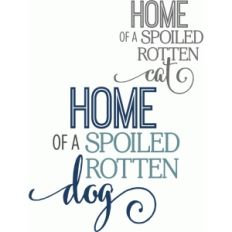 home to spoiled rotten dog/cat - phrase