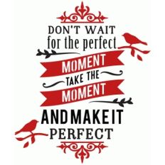 don't wait for the perfect moment phrase